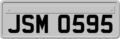 JSM0595
