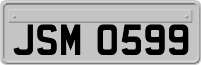 JSM0599