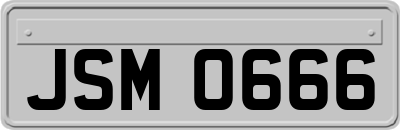JSM0666