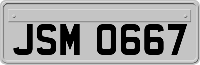 JSM0667