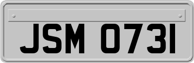 JSM0731