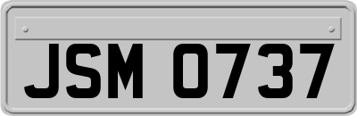 JSM0737