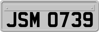 JSM0739