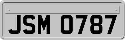JSM0787