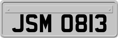 JSM0813