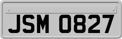 JSM0827