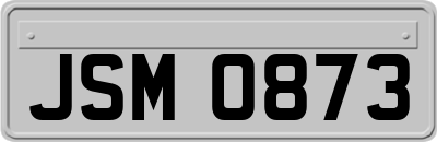 JSM0873