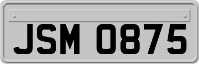 JSM0875