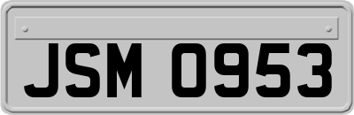 JSM0953