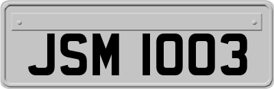JSM1003