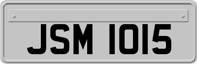 JSM1015