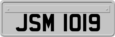 JSM1019