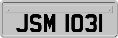 JSM1031