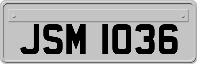 JSM1036