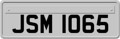 JSM1065