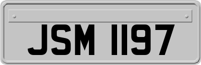JSM1197