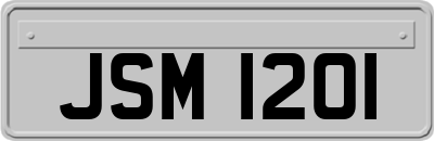 JSM1201