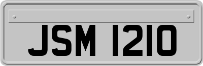 JSM1210
