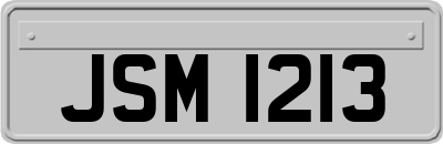 JSM1213