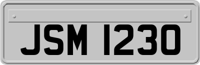 JSM1230