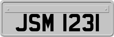 JSM1231