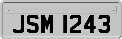 JSM1243