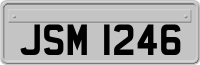 JSM1246