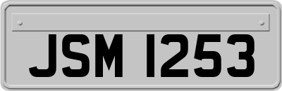 JSM1253