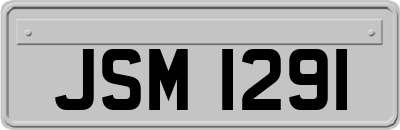 JSM1291