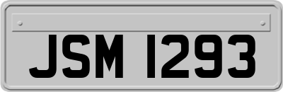 JSM1293