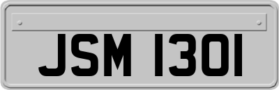 JSM1301
