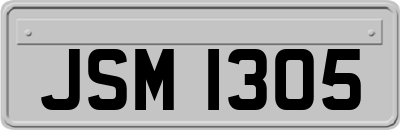 JSM1305