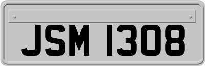 JSM1308