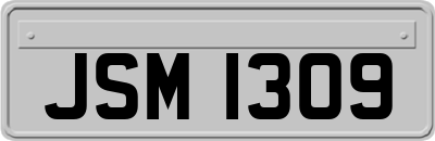 JSM1309