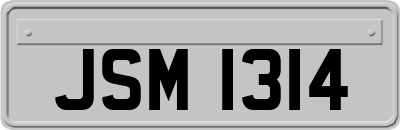 JSM1314