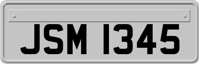 JSM1345