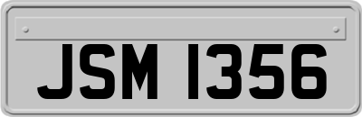 JSM1356