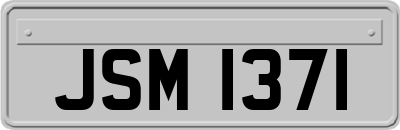 JSM1371