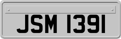 JSM1391
