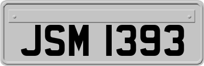 JSM1393
