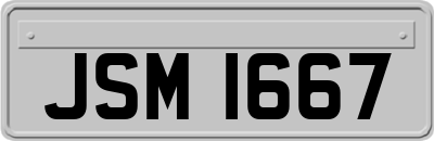 JSM1667