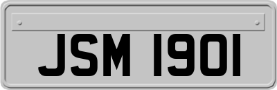 JSM1901