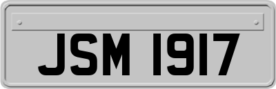 JSM1917