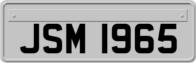 JSM1965