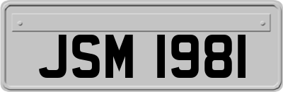 JSM1981