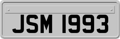 JSM1993