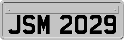 JSM2029