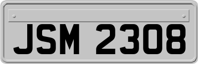 JSM2308