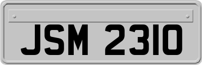 JSM2310
