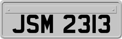 JSM2313